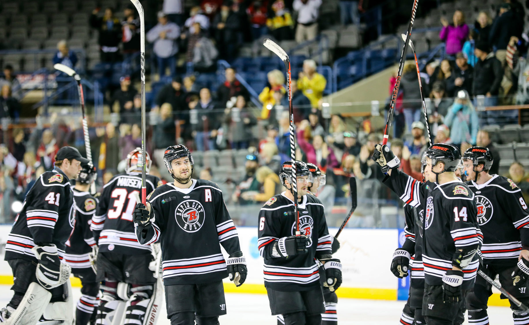 Rush host Steelheads
